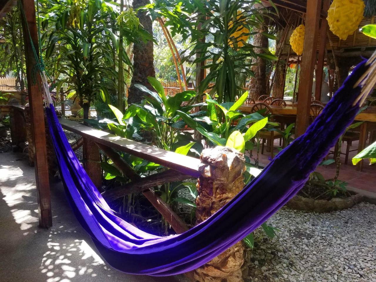 Casa Del Sol Hostel Montanita Bagian luar foto